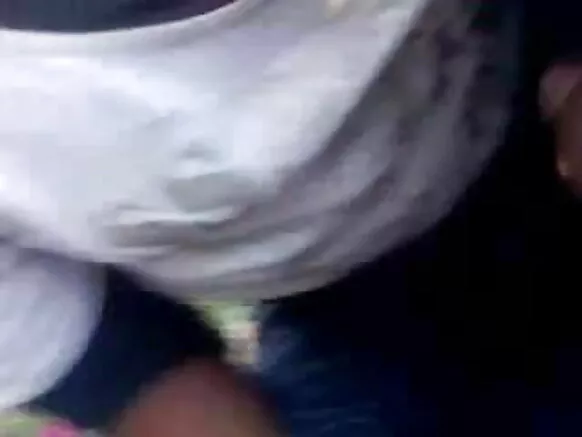 বিনোদন পাৰ্কত মজাৰ সেক্সি নীলা চিনেমা