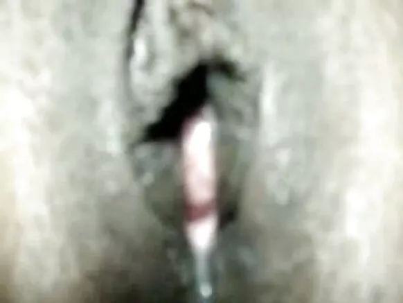 desi bhabhi bp সেক্সি চিনেমা ভাভি ক্ৰেমিতা