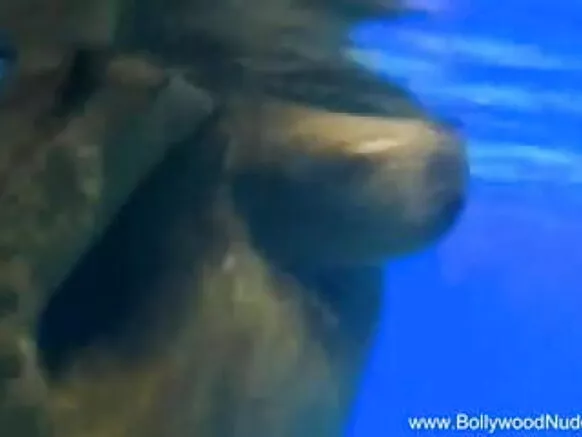 নতুন প্ৰেম নৃত্য নীলা ছবি সেক্সি পানী