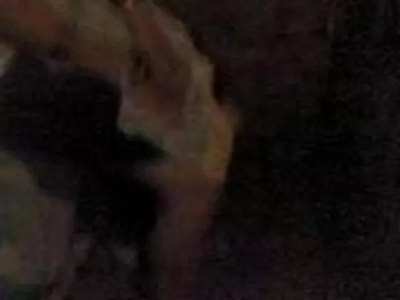 Full Indian Sexy Video Waabi Movie হিন্দী অডিঅ'ৰে ভাৰতীয় প্ৰতিবেশীক প্ৰতাৰণা কৰা
