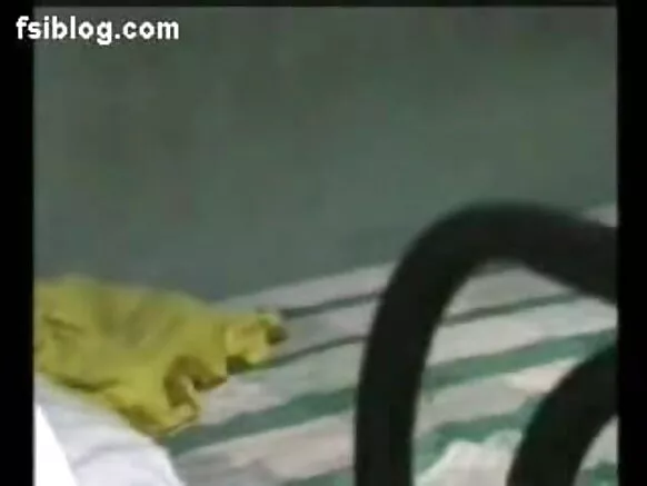 ভাৰতীয় ভাৰতীয় ভাৰতীয় চেক্সি Durious Novio Movie