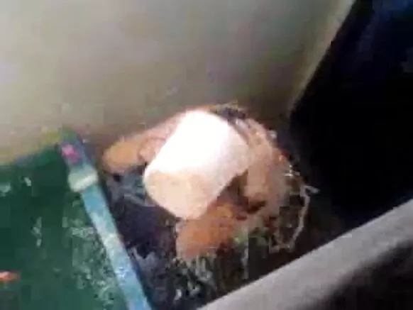 দুগৰাকী দাসীয়ে চেক্সি শ্ব’ত ভয়ৰ শ্বাৱাৰ ভয়ৰ শ্বাৱাৰ দেখুৱাইছে