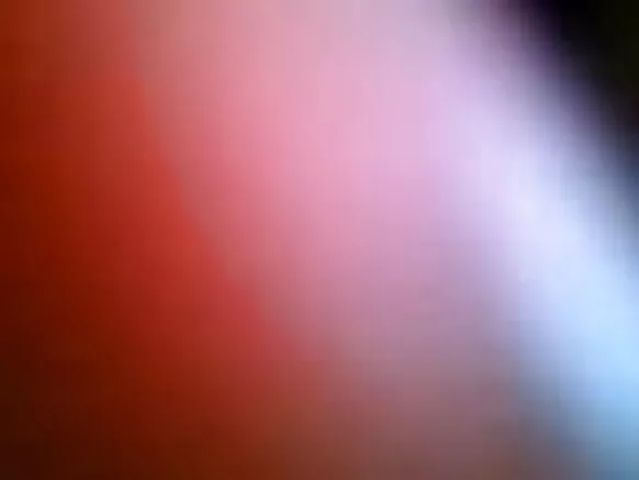 নেপালী