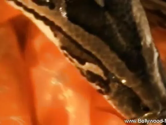 Bharat snake bhojpuri movie sex video হটী আৰু অবিশ্বাস্য নৃত্যশিল্পী