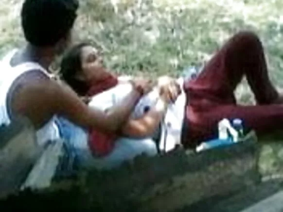 ভাৰতীয় দম্পতী, পাৰ্কিং, ইন, পাৰ্ক, ভাৰতীয়, হিন্দী, নীলা, ছবি
