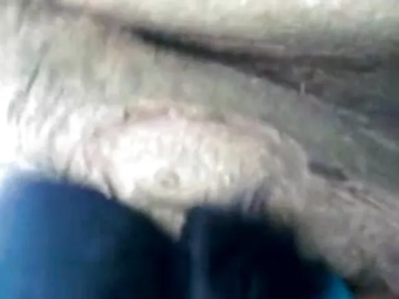আন্টি ইণ্ডিয়া আন্টি ইণ্ডিয়া ১৩৩৫ নায়িকা চেক্সি চিনেমা
