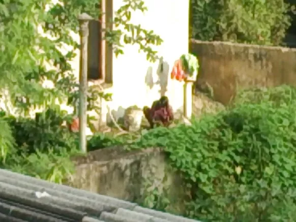 আন্টি ইণ্ডিয়া পিলাডা নগ্ন সেক্সি চলচ্চিত্ৰ সেক্সি বাথৰুম আন্টি বাথৰুম