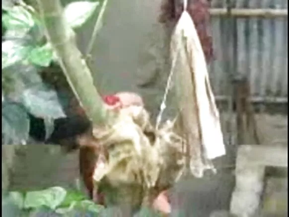 দেশী ছোৱালী গা ধুই আছে desi outdoor sex movie video outdoor