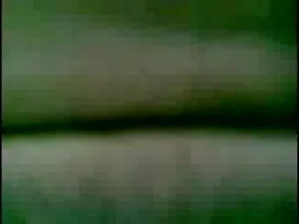 ভাৰতীয় টেটোনাৰ ভয়ংকৰ স্তন
