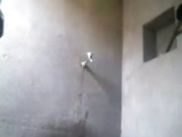 bangla girl 29 watching hidden camera by মোবাইল কাজিন সেক্সি ভিডিও হিন্দী